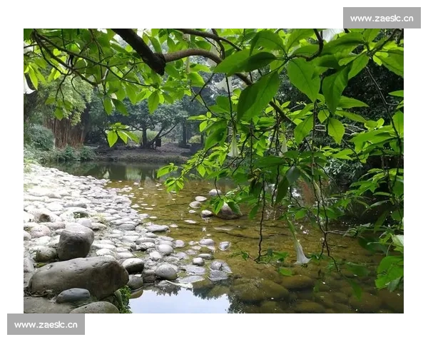 《冰雪中的誓言与爱恋霜花店内外情缘交织的命运》