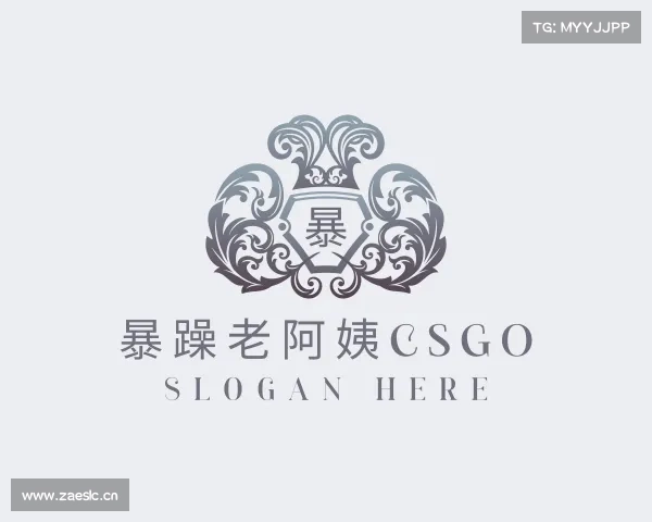 介绍暴躁老阿姨csgo入口